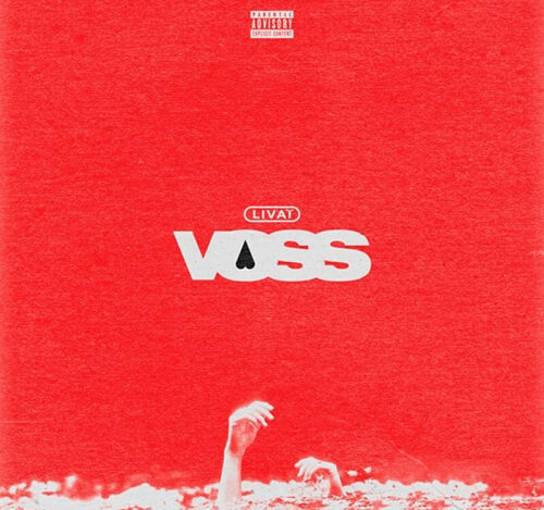 pochette de l'album Voss de Livaï