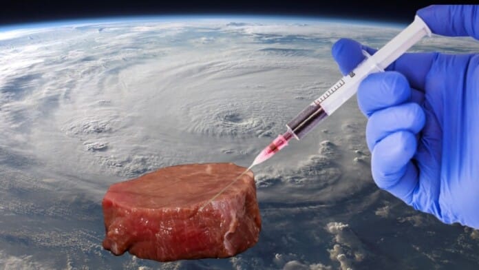 La viande cultivée est un aliment spatial « prometteur » pour les astronautes, selon l'ESA