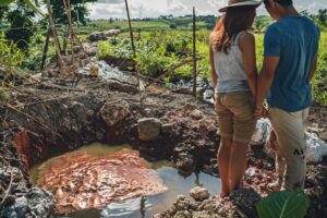 En creusant pour une piscine naturelle, un couple découvre une veine de cuivre rouge, l’État ordonne un gel du terrain